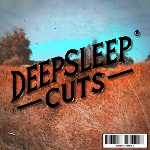 DEEPSLEEPCUTS 2025