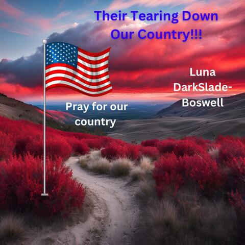 Their Tearing Down Our Country! (feat. Jonathan) [Special Version]
