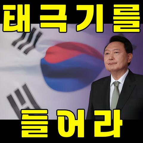 태극기를 들어라