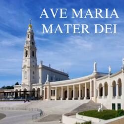 AVE MARIA MATER DEI (feat. Tino Favazza)