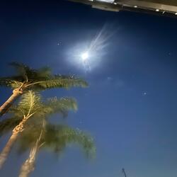 TU ROSTRO EN LA LUNA