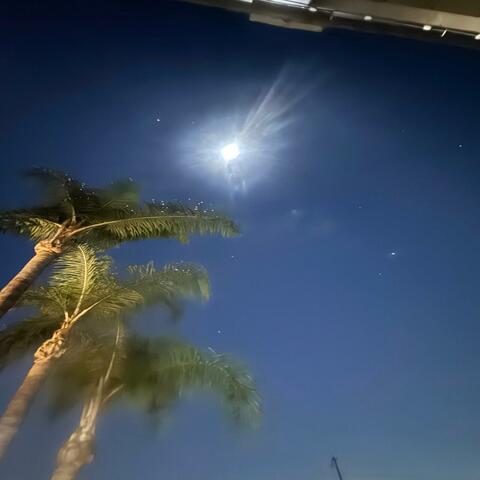 TU ROSTRO EN LA LUNA