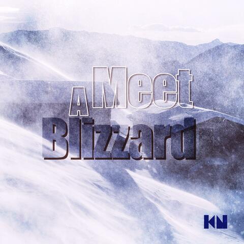 Meet A Blizzard