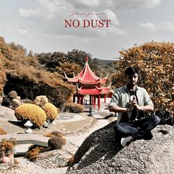 No Dust