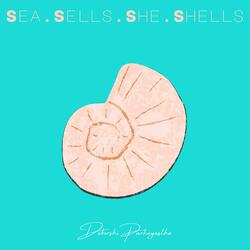 Sea Sells She Shells
