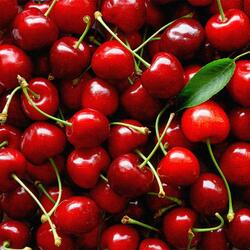 babydoll (feat. taiyo)