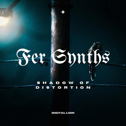 Shadow of Distortion