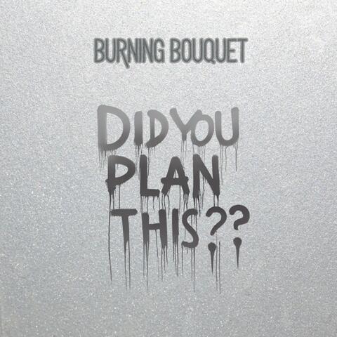 Did You Plan This? (Demo)
