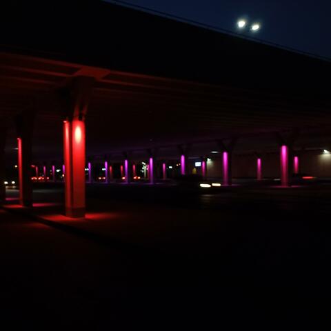 Neon Lights