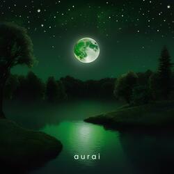 Nocturnal Drift