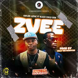 ZVEE (feat. BLACK CHILD DON)