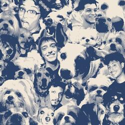 O Cão Mais Fiel do Mundo