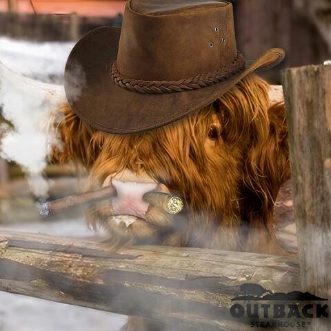 COUNTRY BULL (feat. D.L.C.K)