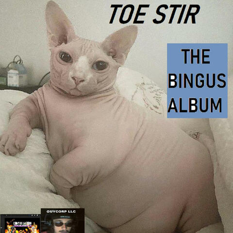 THE BINGUS ALBUM
