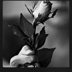 Bloody Flower