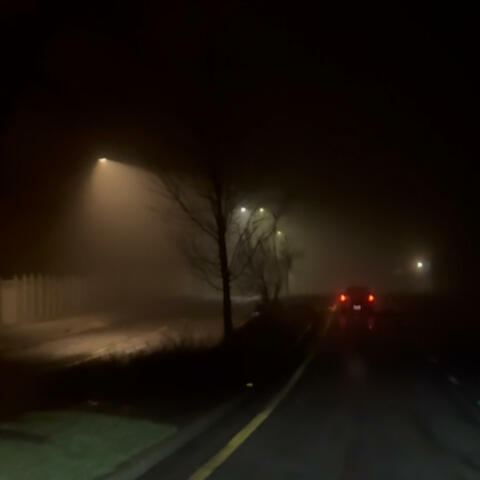 the cold is so lonely, and so am i