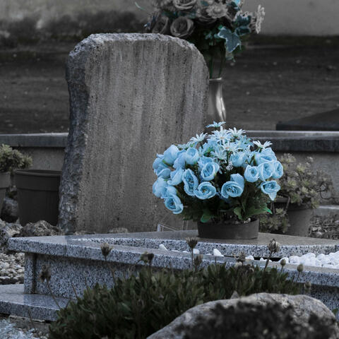 NaXny e daweed r.i.p. f.L