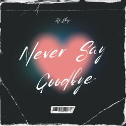 Never Say Goodbye