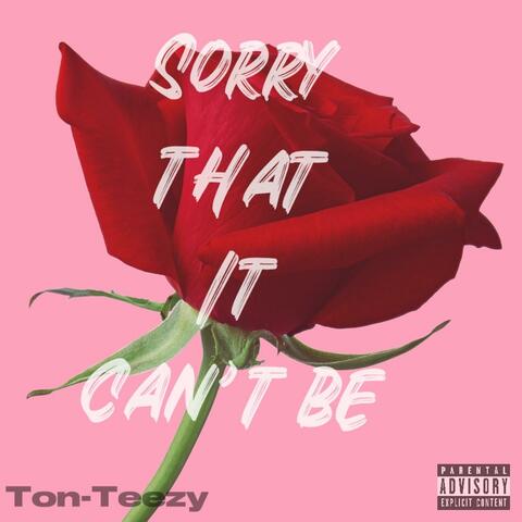 Sorry that it cant be