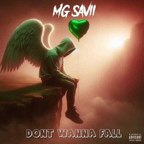 DONT WANNA FALL