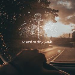 wanted to they would