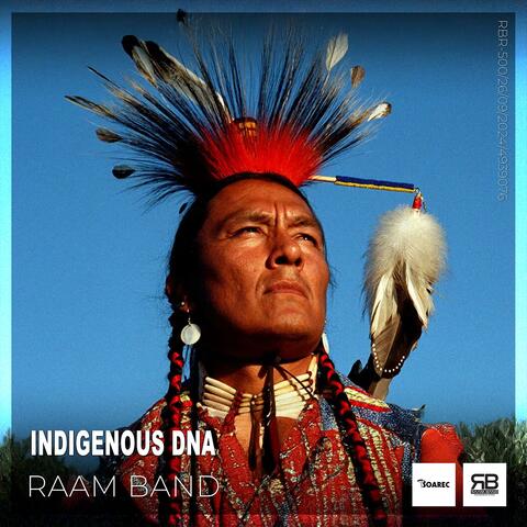 Indigenous DNA (Original Mix)