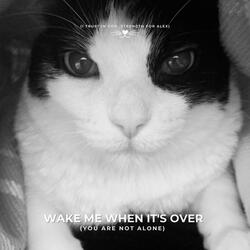 Wake Me When It's Over (You Are Not Alone)