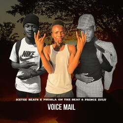 Voice-mail (feat. Phobla On The Beat & Prince Zulu)