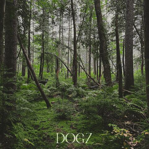 DOGZ