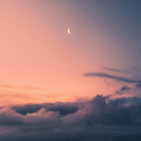 Jazz & Moonlight