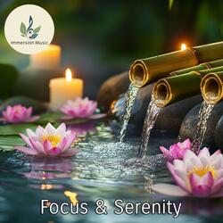 Focus & Serenity (Relaxing Music for Study, Meditation & Calm)