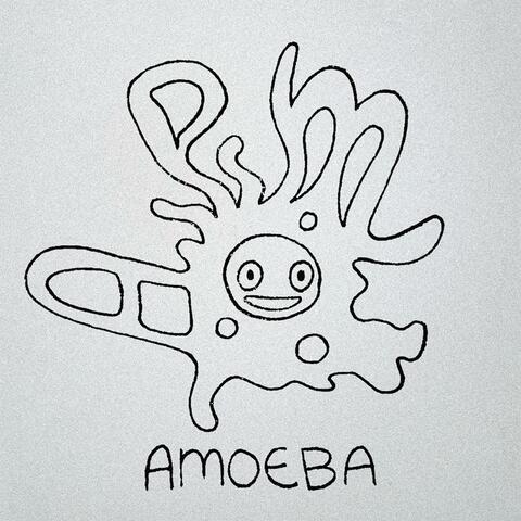Amoeba (Acoustic)
