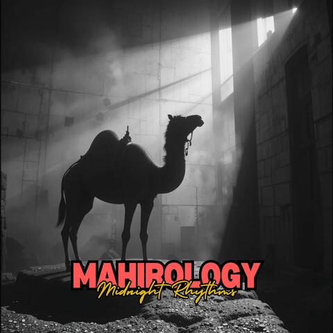 Mahirology | CameL