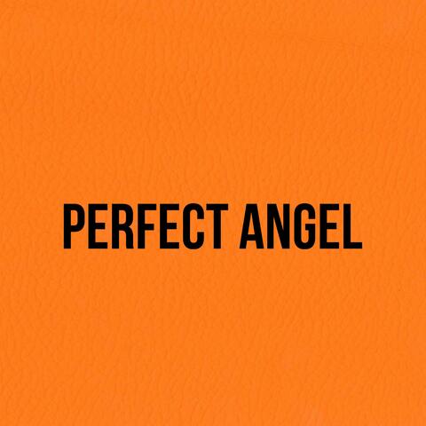 Perfect Angel