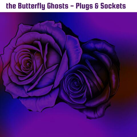 Plugs & Sockets