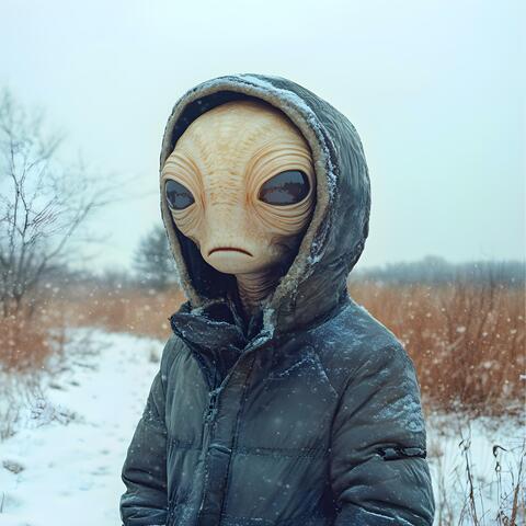 Cold December