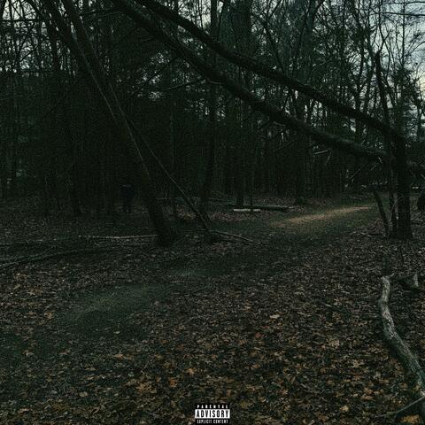ambience