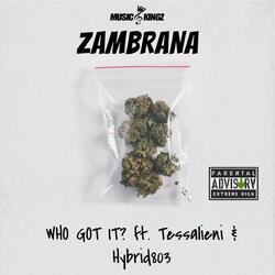 Who Got It? (feat. Tessalieni & Hybrid803)
