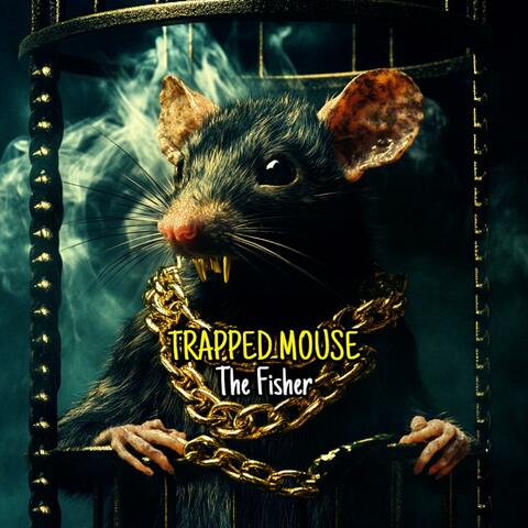 Trapped Mouse