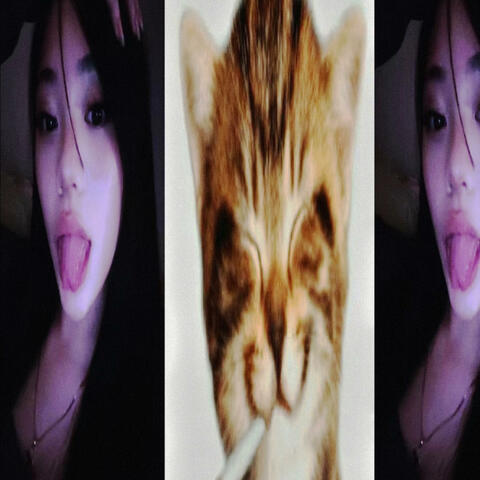 from temu
