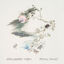 Strawberry Moon
