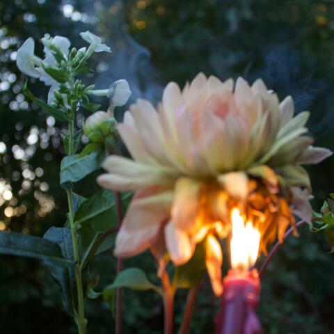 Bonfires