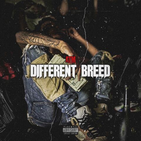 Different Breed