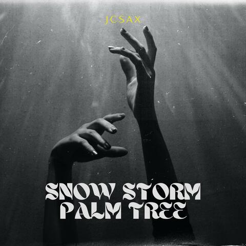 Snow Storm Palm Tree