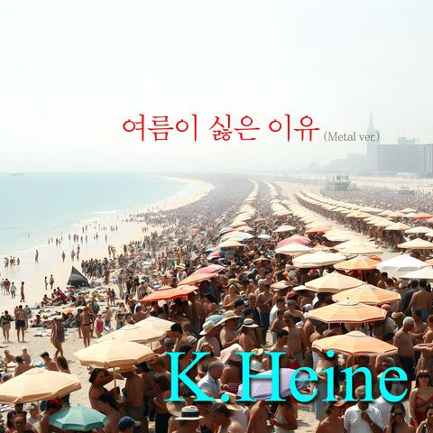 여름이 싫은 이유 (Metal ver.)