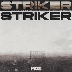 Striker