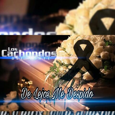 De Lejos Me Despido