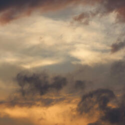 Beneath The Early Sky