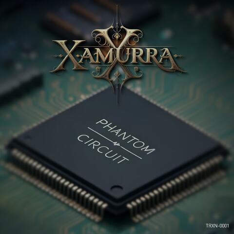Phantom Circuit