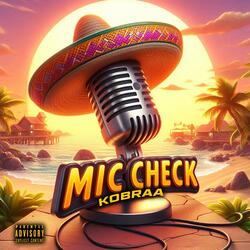 Mic Check
